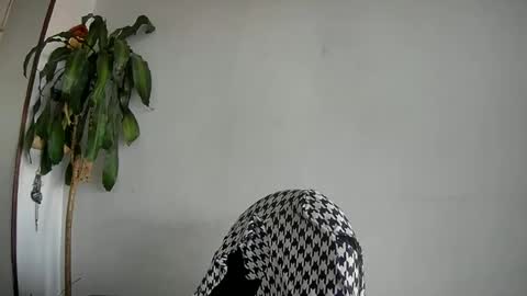 Snapshot of silviecollins chatting on January 27, 2025, 10:27 pm Silvie online show from January 27, 2025, 10:27 pm