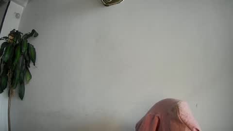 Snapshot of silviecollins chatting on February 15, 2025, 7:50 pm Silvie online show from February 15, 2025, 7:50 pm