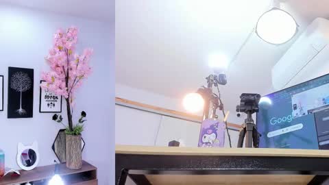 Siouxsie online show from February 5, 2026, 11:37 am