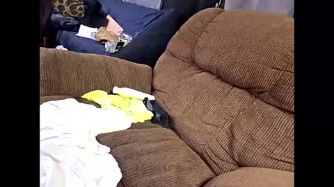 sissyboi124995 online show from April 11, 2026, 7:51 pm