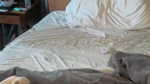 Snapshot of sissydensib chatting on April 18, 2026, 12:03 am Sissy Submissive online show from April 18, 2026, 12:03 am