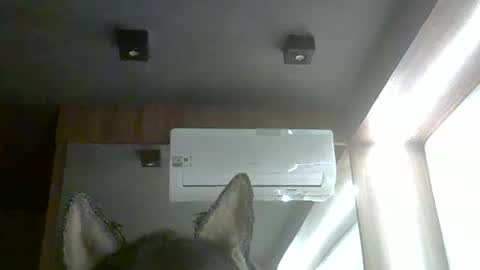 Snapshot of skinnykittencam chatting on February 5, 2026, 10:14 pm skinnykittencam online show from February 5, 2026, 10:14 pm