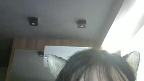 Snapshot of skinnykittencam chatting on April 14, 2026, 3:01 am skinnykittencam online show from April 14, 2026, 3:01 am