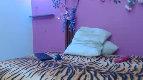 sofia online show from February 12, 2026, 1:28 pm