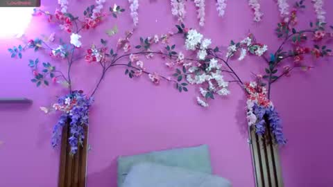 sofia online show from June 15, 2026, 2:08 pm