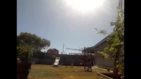 skip1975 online show from December 29, 2024, 7:28 am