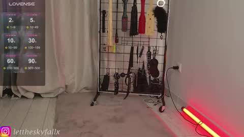 Snapshot of sky011fall chatting on November 5, 2025, 11:16 pm Eliza online show from November 5, 2025, 11:16 pm