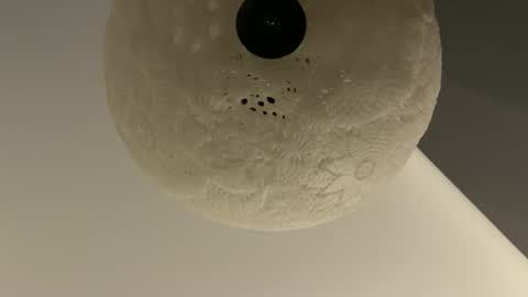 slimguy03 online show from January 28, 2025, 3:25 am