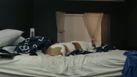 Snapshot of slimjp chatting on February 7, 2026, 2:26 am slimjp online show from February 7, 2026, 2:26 am