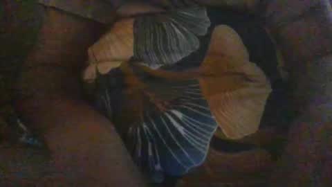 slothslav online show from December 18, 2024, 12:40 pm