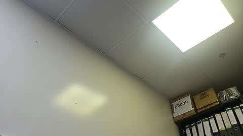 slothslav online show from October 28, 2025, 2:04 am