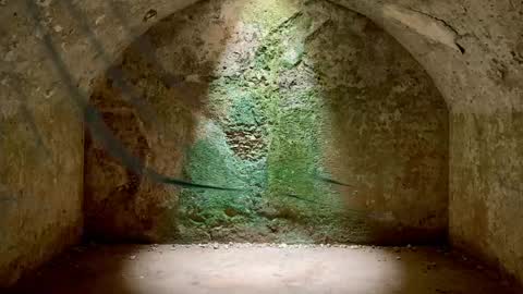 slutfactor online show from June 23, 2026, 8:01 am