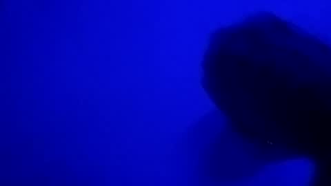 Snapshot of sluttyslut123797367 chatting on June 28, 2026, 10:32 am Nastyguurl online show from June 28, 2026, 10:32 am