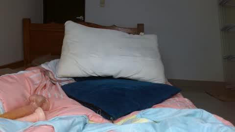 Snapshot of smallbrenda21 chatting on October 20, 2025, 4:51 pm brenda online show from October 20, 2025, 4:51 pm