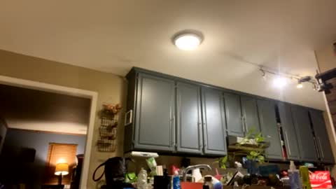 Snapshot of smokeymt420 chatting on February 9, 2025, 9:37 am smokeymt420 online show from February 9, 2025, 9:37 am