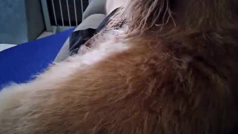 smokynight online show from September 26, 2025, 8:57 pm