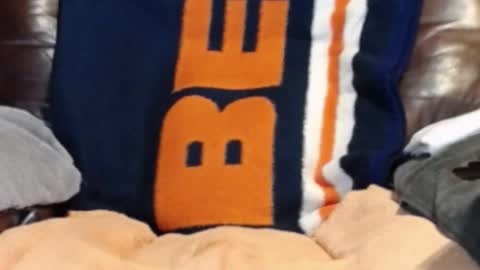 CJ online show from February 16, 2025, 2:00 pm