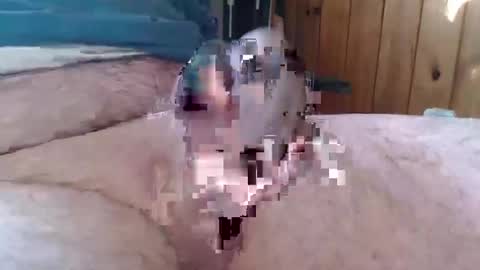 sn0man69 online show from January 6, 2025, 2:47 pm