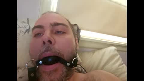 snarkymarks online show from December 17, 2025, 3:51 pm