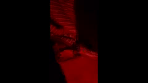 snqhephncxpu online show from March 11, 2026, 5:02 am