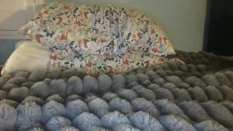 Snapshot of soccerstarnoww chatting on January 24, 2025, 10:00 am soccerstarnoww online show from January 24, 2025, 10:00 am