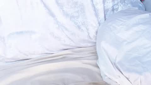 Sofia here online show from January 9, 2025, 6:27 am