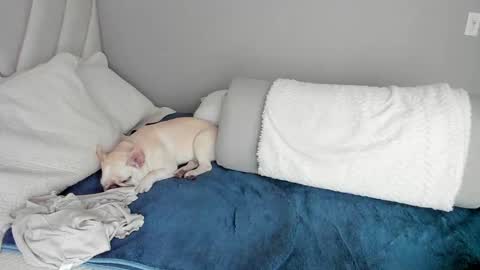 sofia_rivers_ online show from March 1, 2025, 12:23 pm