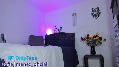 Snapshot of sofiajimenez_ chatting on February 17, 2026, 1:13 am Sofia Jimenez online show from February 17, 2026, 1:13 am