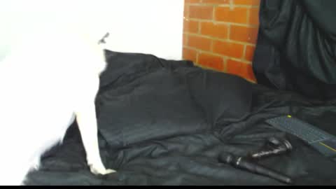 Snapshot of sofy_dep chatting on February 21, 2026, 3:07 am Sofy online show from February 21, 2026, 3:07 am