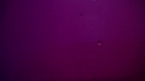 Alexa online show from December 28, 2024, 11:26 pm