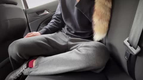 Snapshot of sondages chatting on February 23, 2025, 8:49 am Sondages online show from February 23, 2025, 8:49 am