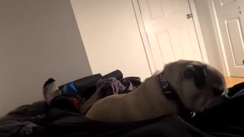 Snapshot of souls6207 chatting on March 15, 2026, 8:31 am souls6207 online show from March 15, 2026, 8:31 am