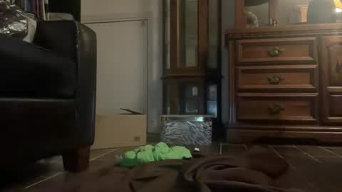 Southernblueyes online show from April 11, 2026, 8:13 pm