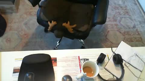 Snapshot of southernbones chatting on September 29, 2025, 3:06 pm SOUTHERNBONES online show from September 29, 2025, 3:06 pm