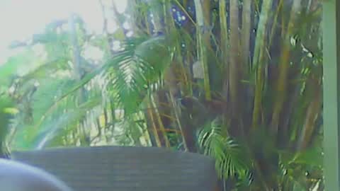 soveryhandsome online show from April 12, 2026, 6:40 am