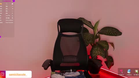 Sami Diaz   online show from December 7, 2024, 8:44 am