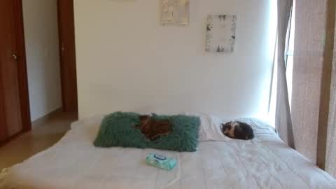 Snapshot of soysilvanna_ chatting on February 28, 2026, 8:43 pm online show from February 28, 2026, 8:43 pm