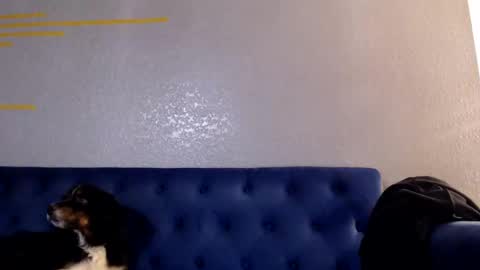 Snapshot of spankyspice chatting on November 1, 2025, 7:10 am spankyspice online show from November 1, 2025, 7:10 am