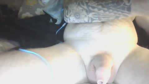 Snapshot of species98 chatting on January 29, 2025, 5:51 am species online show from January 29, 2025, 5:51 am