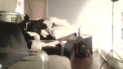 Snapshot of speedsoldier chatting on October 13, 2025, 5:35 pm speedsoldier online show from October 13, 2025, 5:35 pm