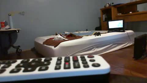 Snapshot of speedsoldier chatting on February 21, 2026, 11:17 pm speedsoldier online show from February 21, 2026, 11:17 pm