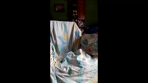 spieguelman online show from April 17, 2026, 11:24 am