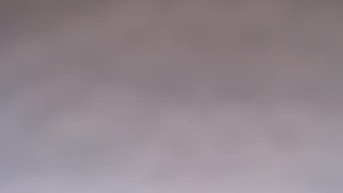 Doll online show from October 7, 2025, 10:23 am