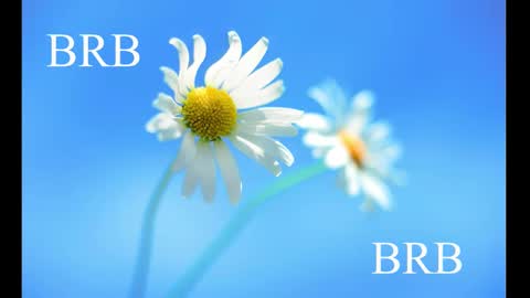 Karina online show from February 28, 2025, 8:31 am