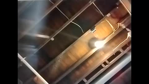 spundaddyandprincess online show from December 1, 2024, 4:29 pm