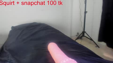 Snapshot of squirtle_girl chatting on December 3, 2024, 9:56 pm Lizzy online show from December 3, 2024, 9:56 pm