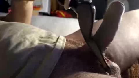 Snapshot of srb543 chatting on December 16, 2025, 9:09 pm srb543 online show from December 16, 2025, 9:09 pm