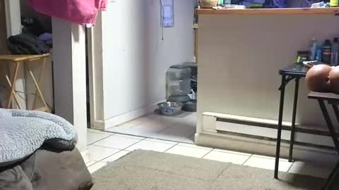 Submissive Slut LOVES adoration online show from October 23, 2025, 4:23 am