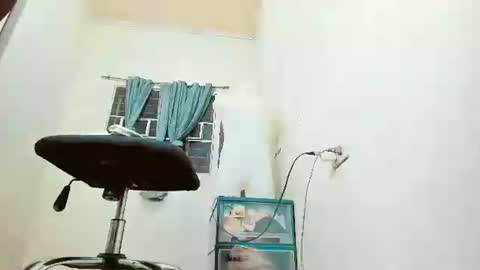 stefania online show from January 8, 2025, 11:43 am