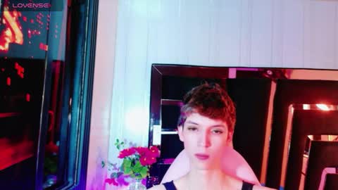 stefany piink online show from May 18, 2026, 12:22 pm